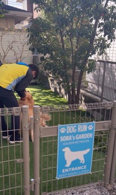 そら君とブリーダーさんの再会8