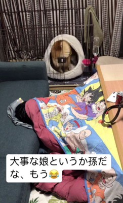 ハウスの中にイン