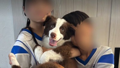 家族の中心的な存在に