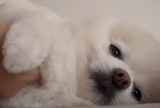 撫でて