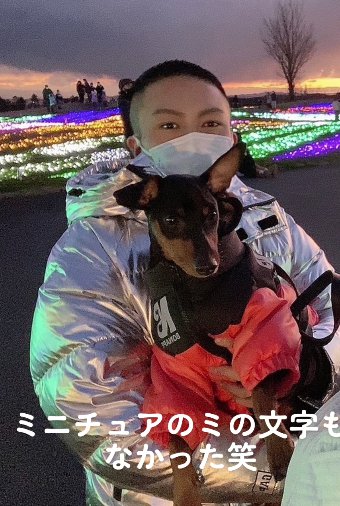 男性に抱きかかえられるミニチュアピンシャー