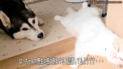 「じゅんちゃん大丈夫かな？」