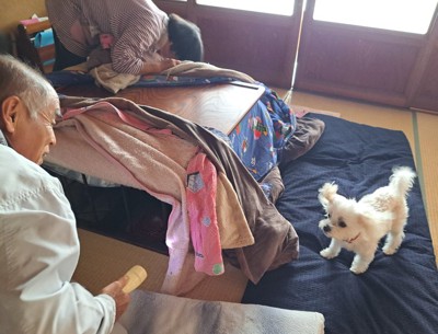 捜索