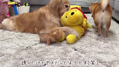 「断られた…」