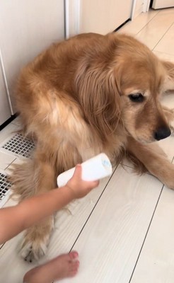 ラビーくんに芯をあげる男の子3