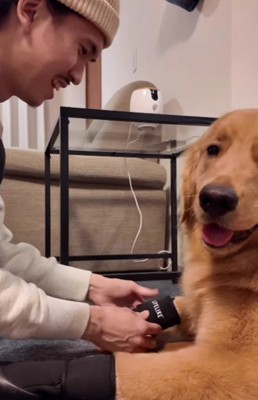 どんな感じかな？