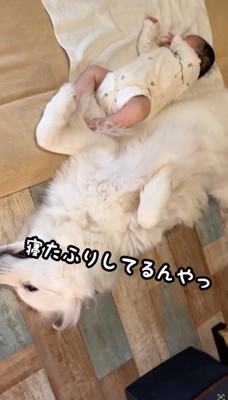 赤ちゃんの隣に寝そべる犬