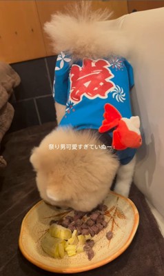 お店で食事するむぎくん9