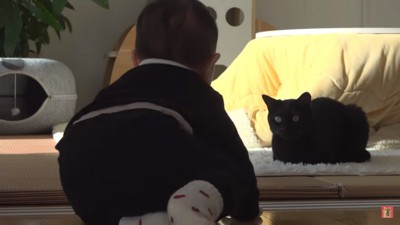 ゴマちゃんが気になるみーくん