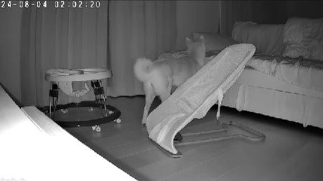 「ソファの上が一番」