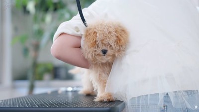 ちょっぴり怖がりだけど…