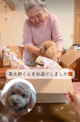 ぬいぐるみを取り出すおばあさん