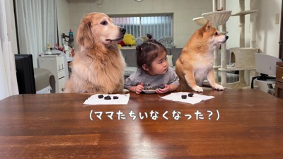 パパとママが出ると…