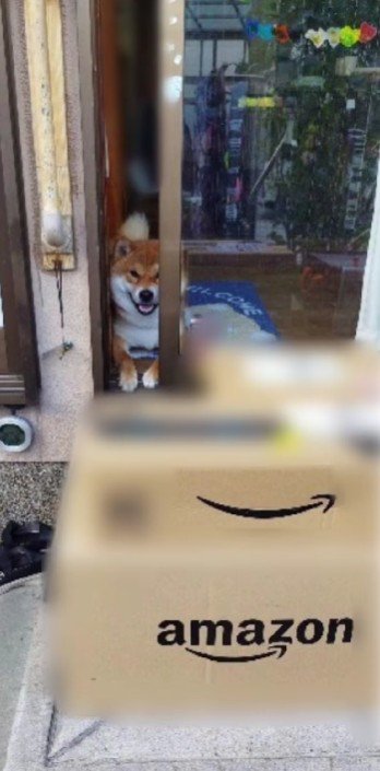 荷物の番人みたいなおいも君でした♡