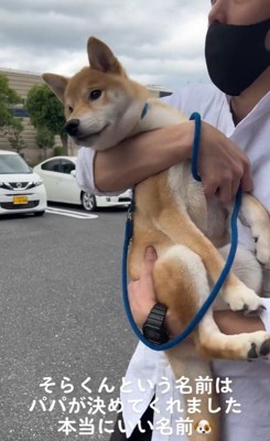 そらくんとの出会いとその後の様子8