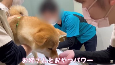 おやつパワーで…