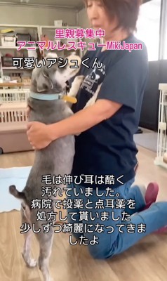 立ち上がって甘えるアシュくん