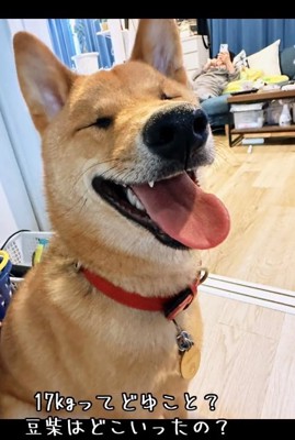 目を細める小鉄くん