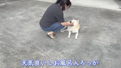 そろそろ洗いどきかな？