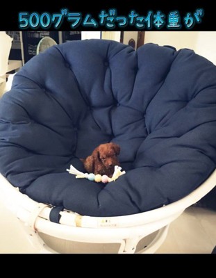 子犬期は500グラム