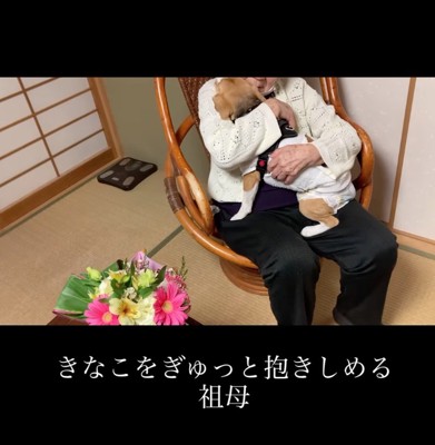 犬を抱っこするおばあちゃん