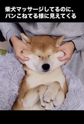 とっても気持ちよさそう