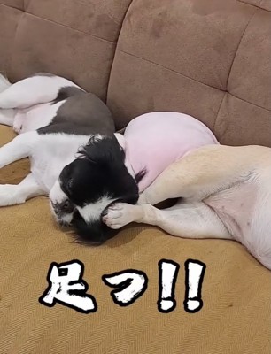 蹴ってるよ!!