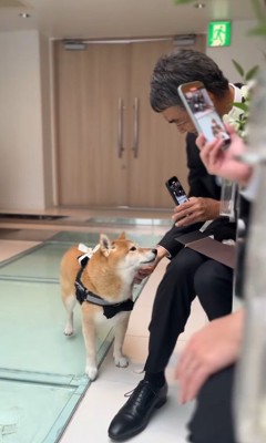 リングドッグを務めるじろー君6