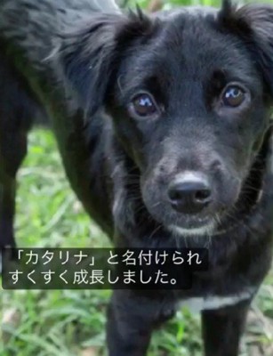 すっかり綺麗な体に！