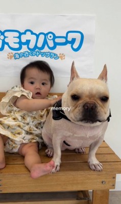 ぶうちゃんと赤ちゃん7