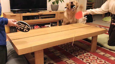 卓球をした時のビスコくん3