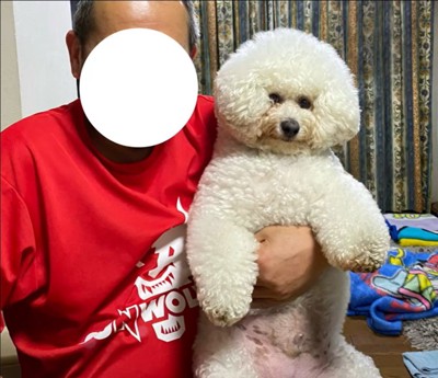 モンくんの成長4