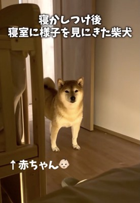 寝室にやってきた幹雄くん