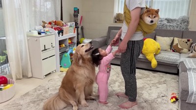 「ほのも抱っこして！」