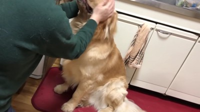 ついついニッコリ笑顔に