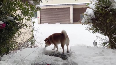 「段差か…」