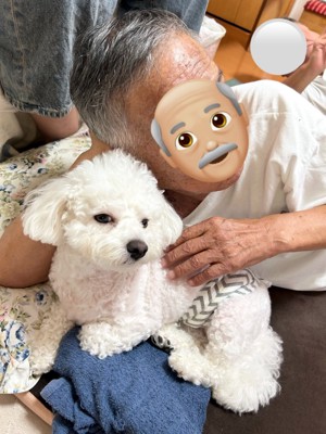 お父さん