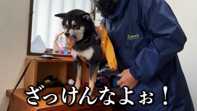 カッパにブチギレるすみすみちゃん