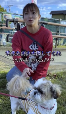 女性の隣でリードにつながれて座る犬
