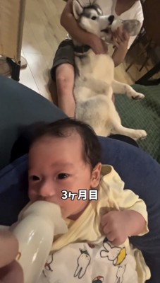 並んで哺乳瓶を口にする犬と赤ちゃん