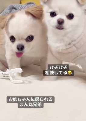 「いいこと聞いちゃった」