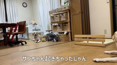 「嘘でしょ?まだ寝ないの?」