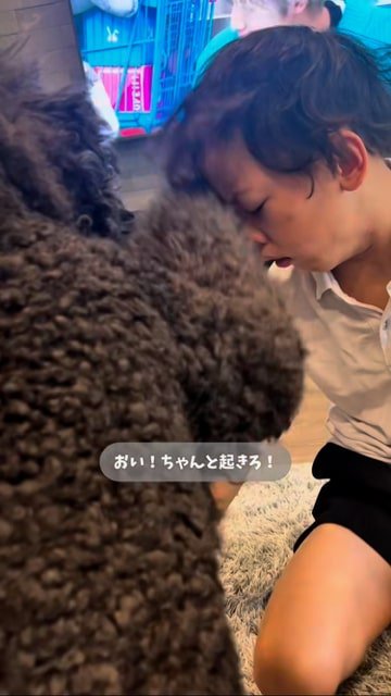 男の子の頭を前足でたたく犬