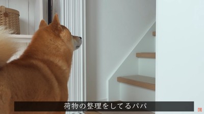 「そうだ…待つように言われたんだ」