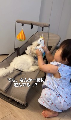 あさりちゃんと赤ちゃん4