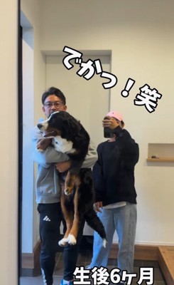 ダンボくんの成長9