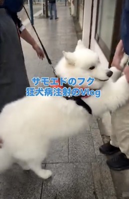 大人3人がかりで院内へ