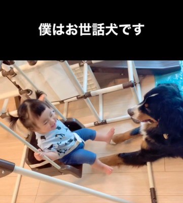 女の子を見守るダンロくん