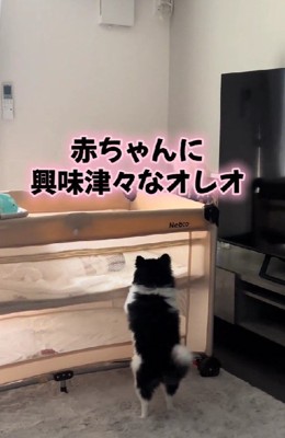 赤ちゃんとの初対面