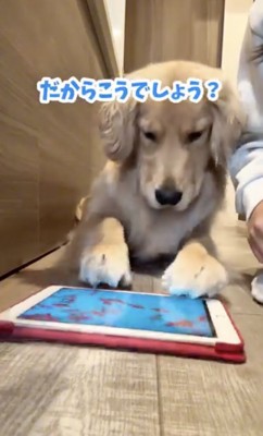 画面をガシガシ